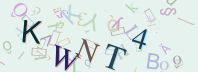 Ochrana proti spamu (CAPTCHA)